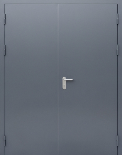 Двустворчатая противопожарная дверь с покраской серого цвета